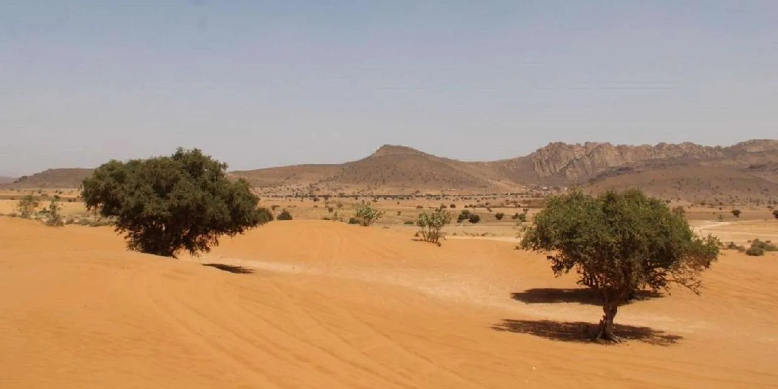 Small Desert Trip photo 4